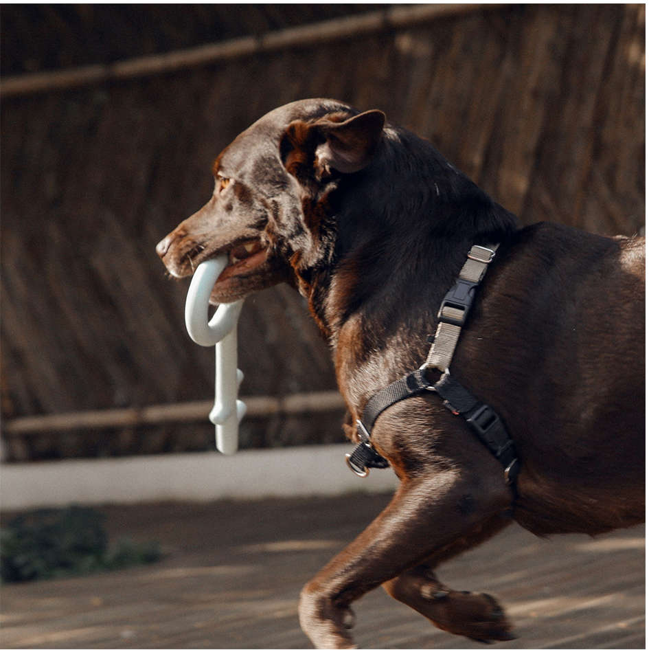 Brinquedo Chave Pidan Azul para Cães - Tam. G