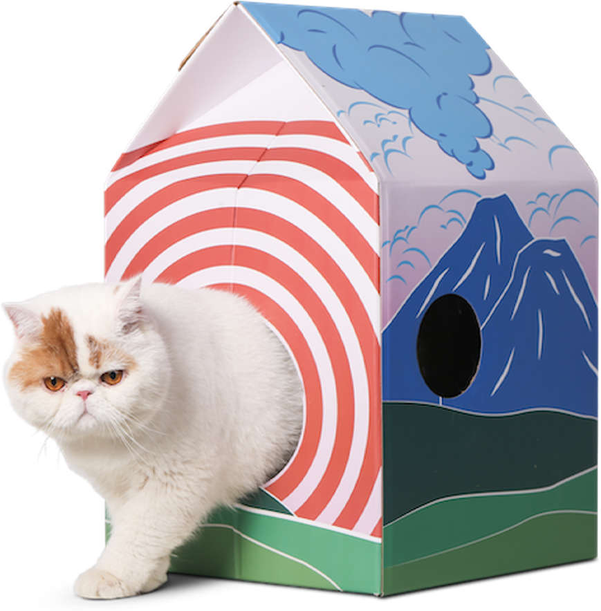 Arranhador Pidan Fuji Colorido para Gatos - Tam. Único