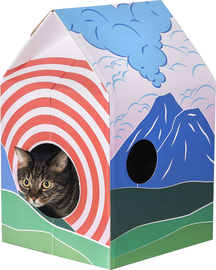 Arranhador Pidan Fuji Colorido para Gatos - Tam. Único