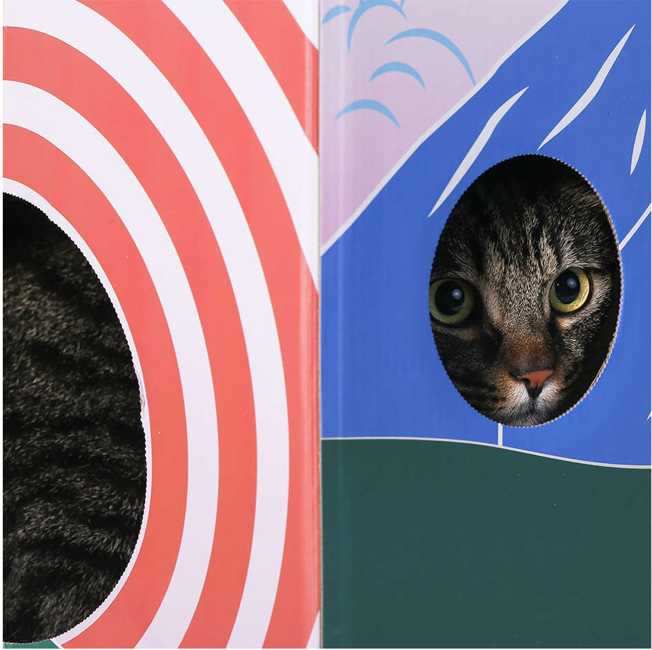 Arranhador Pidan Fuji Colorido para Gatos - Tam. Único