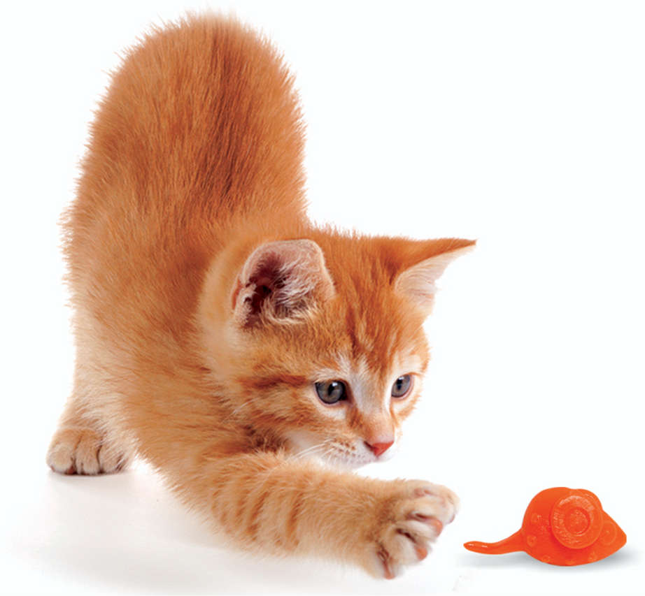 Brinquedo Odontopet Mouse Infused Catnip Laranja para Gatos - Tam. Único
