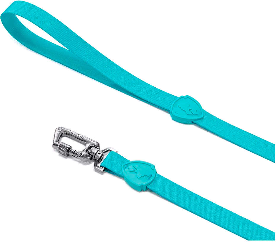 Guia Tradicional FreeFaro Scooby Doo SD 2 Metros - Tam. P