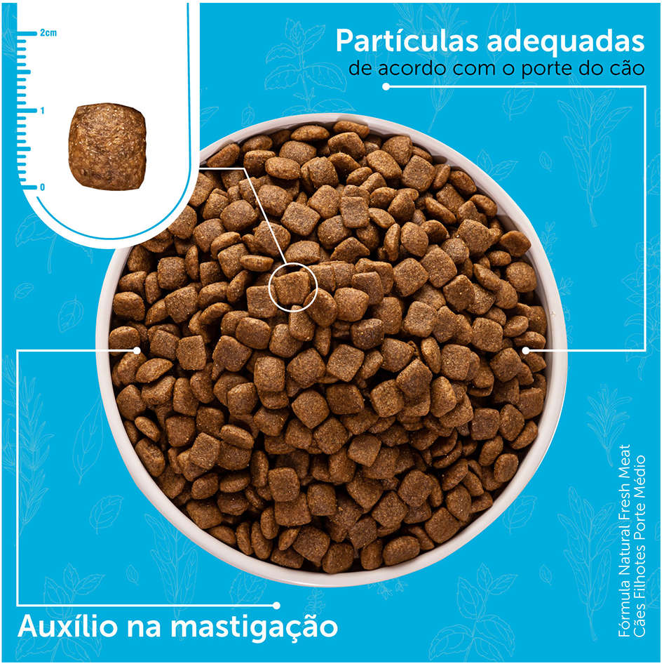 Ração Seca Fórmula Natural Fresh Meat Cães Filhotes Raças Médias - 12Kg