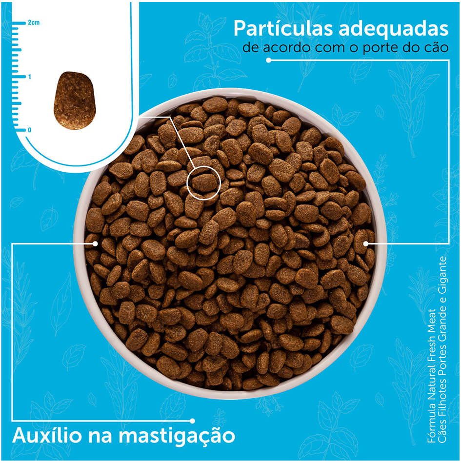 Ração Seca Fórmula Natural Fresh Meat Cães Filhotes Raças Grandes e Gigantes - 12Kg