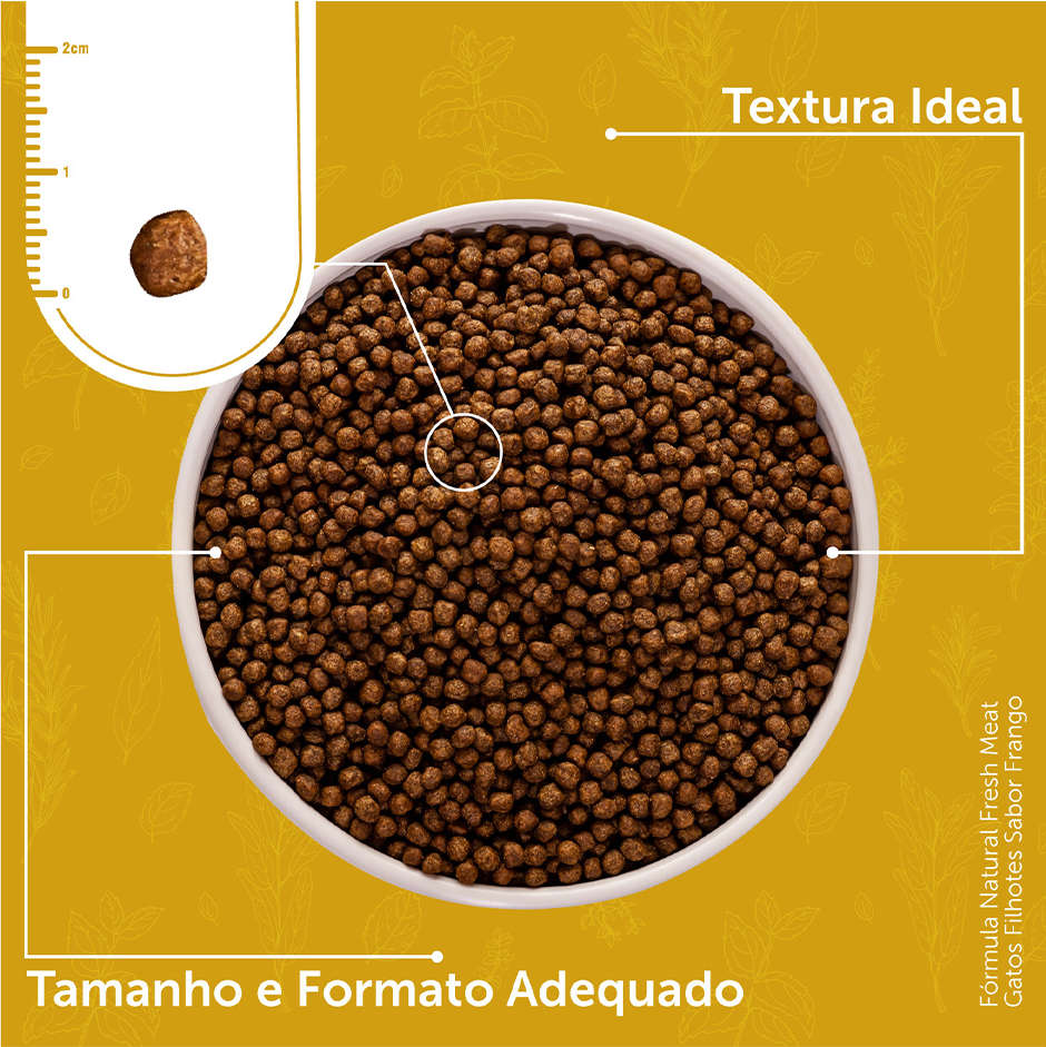 Ração Seca Fórmula Natural Fresh Meat Gatos Filhotes - 1Kg