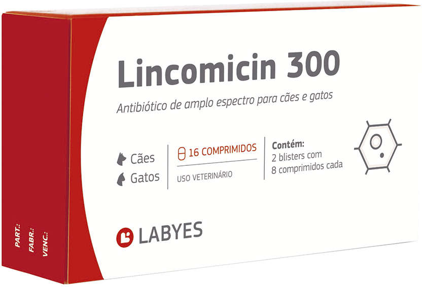 Antibiótico Labyes Lincomicin 300 - 16 Cápsulas