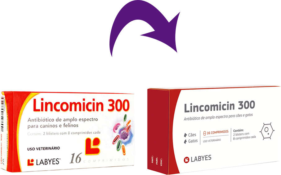 Antibiótico Labyes Lincomicin 300 - 16 Cápsulas