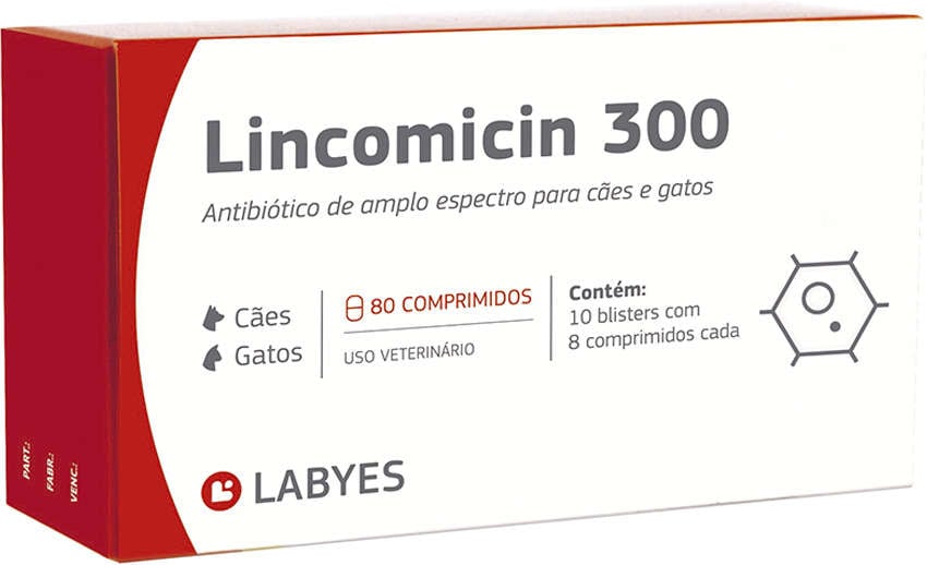 Antibiótico Labyes Lincomicin 300 - 80 Cápsulas