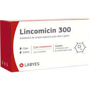 Antibiótico Labyes Lincomicin 300 - 80 Cápsulas