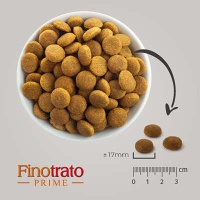 Ração Seca Finotrato Prime Premium Especial para Cães Adultos Raças Grandes