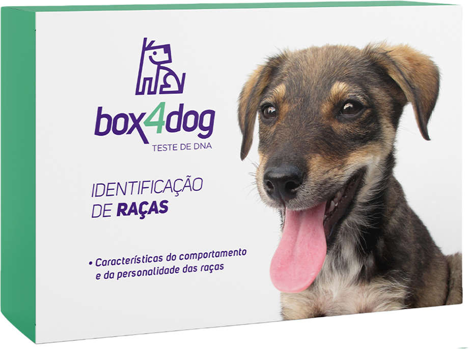 Teste de Identificação Box4Dog Raças - Tam. Único