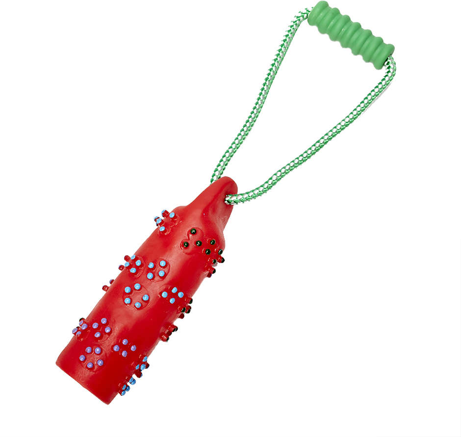 Brinquedo Chalesco Bóia para Cães - Tam. Único
