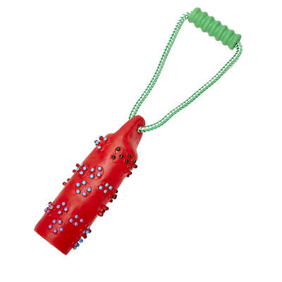Brinquedo Chalesco Bóia para Cães