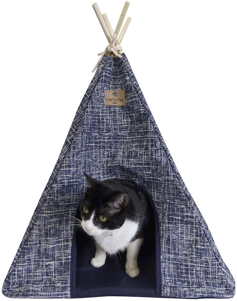 Cabaninha Gales Azul para Gatos - Tam. Único