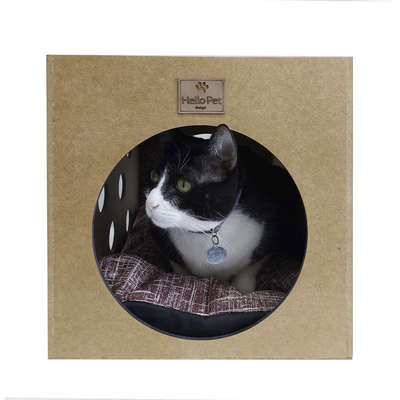 Cama Gales Marsala Interativa para Gatos
