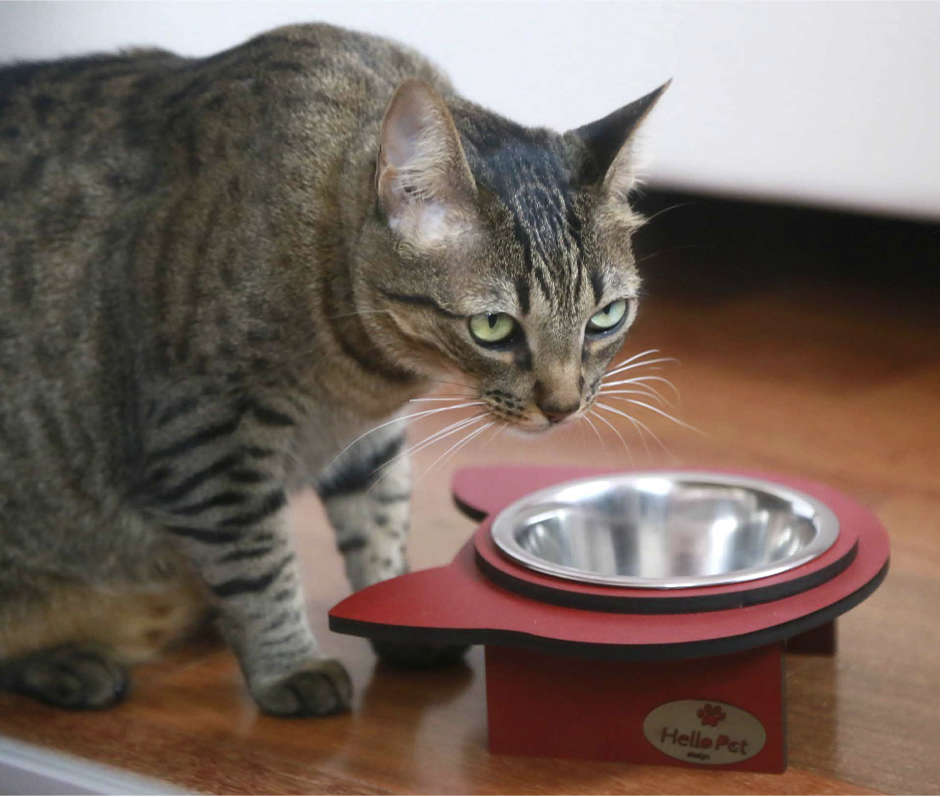 Comedouro Gato Vermelho para Gatos - Tam. Único