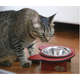 Comedouro Gato Vermelho para Gatos