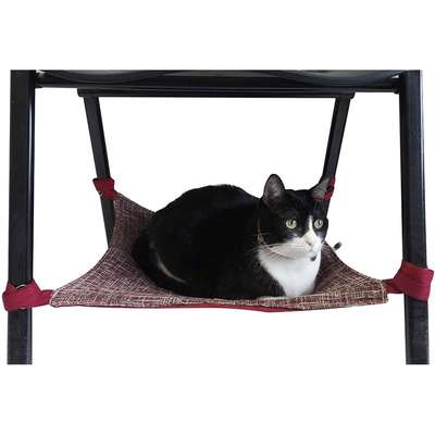 Rede Gales Marsala para Gatos