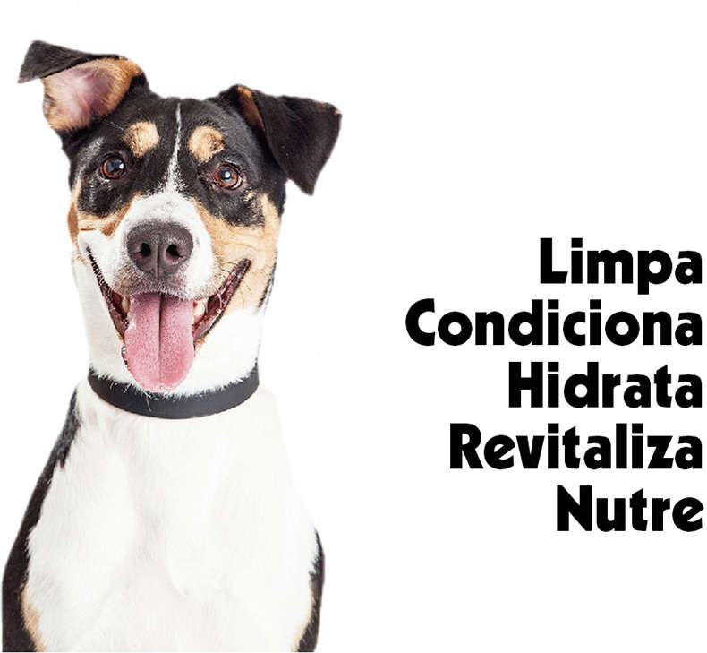 Shampoo Pet Clean 5 em 1 para Cães e Gatos - 700 mL