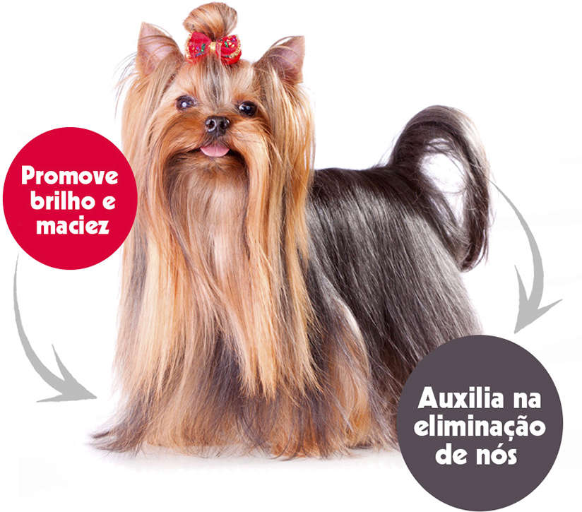 Brilho Finalizador Spray Petclean - 120 mL