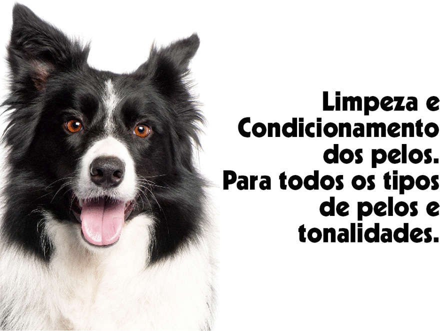 Shampoo e Condicionador Pet Clean Neutro para Cães e Gatos - 5 Litros
