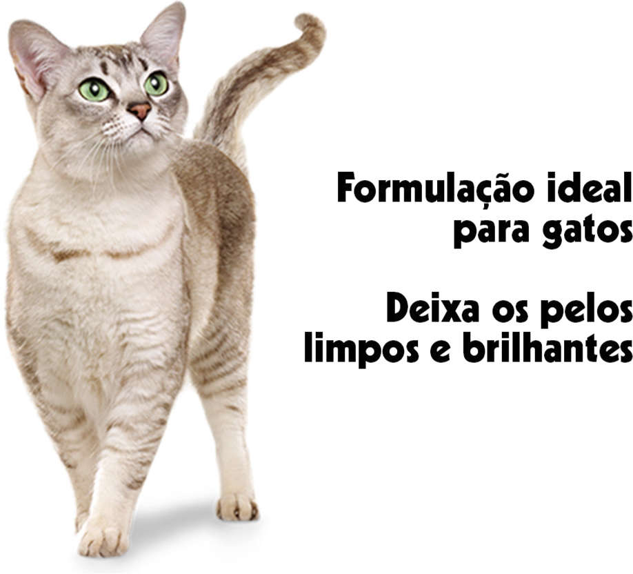 Shampoo e Condicionador Pet Clean para Gatos - 700 mL