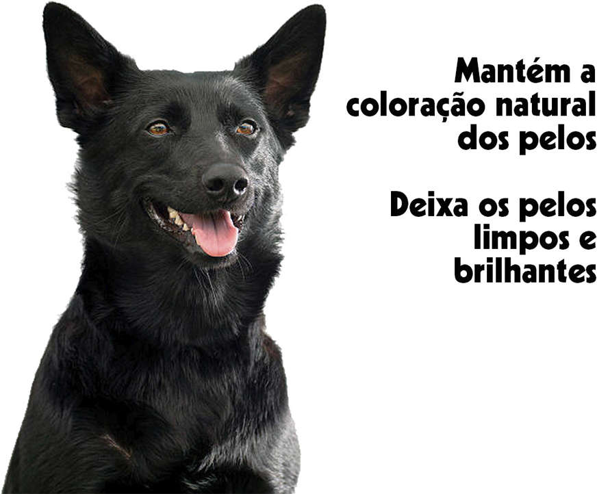 Shampoo e Condicionador Pet Clean Escurecedor para Cães e Gatos - 5 Litros