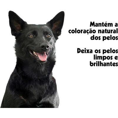 Shampoo Escurecedor Pet Clean para Cães e Gatos