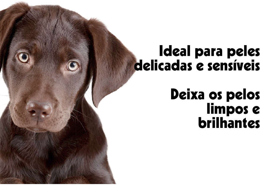 Shampoo e Condicionador Pet Clean Filhotes para Cães e Gatos - 5 Litros