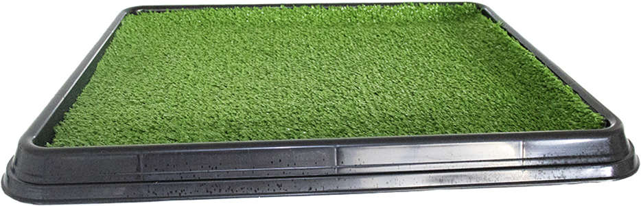 Sanitário Higiênico Pet Injet Xixi Pets Green Black Edition - Tam. Único