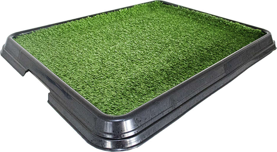 Sanitário Higiênico Pet Injet Xixi Pets Green Black Edition - Tam. Único