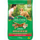 Ração Seca Nestlé Purina Dog Chow Extra Life Carne, Frango e Arroz Cães Filhotes Todas as Raças
