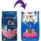 Ração Nestlé Purina Cat Chow Filhotes Frango e Leite