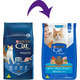 Ração Nestlé Purina Cat Chow Adultos Defense Plus Peixe