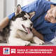 Ração Seca Hill's Science Diet Light para Cães Adultos