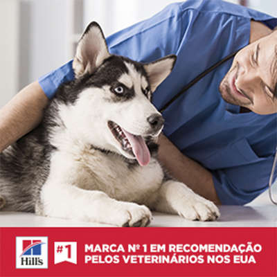 Ração Seca Hill's Science Diet Light para Cães Adultos