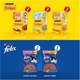 Pack Ração Úmida Felix e Friskies
