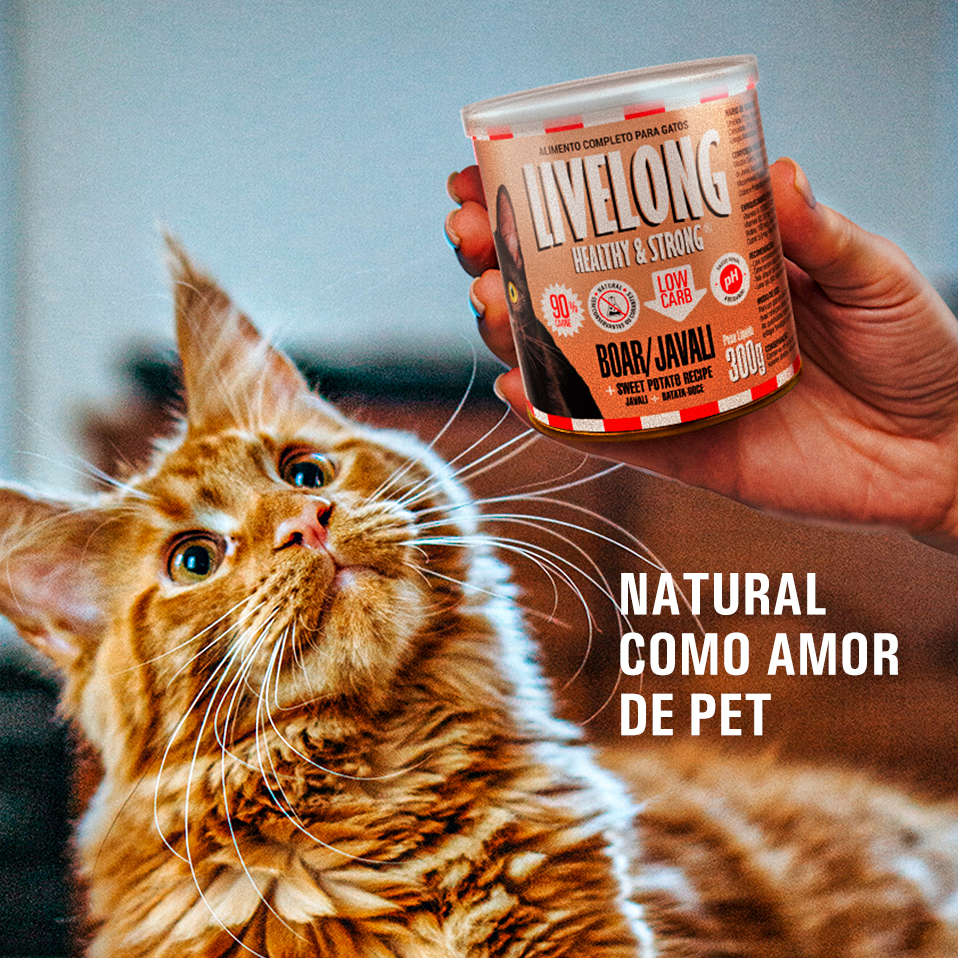 Alimento Natural Livelong Javali para Gatos - 300 g