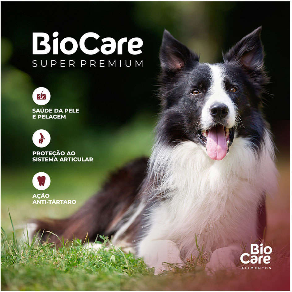 Ração Seca Biocare Super Premium Frango e Arroz para Cães Adultos de Porte Médio e Grande - 15Kg