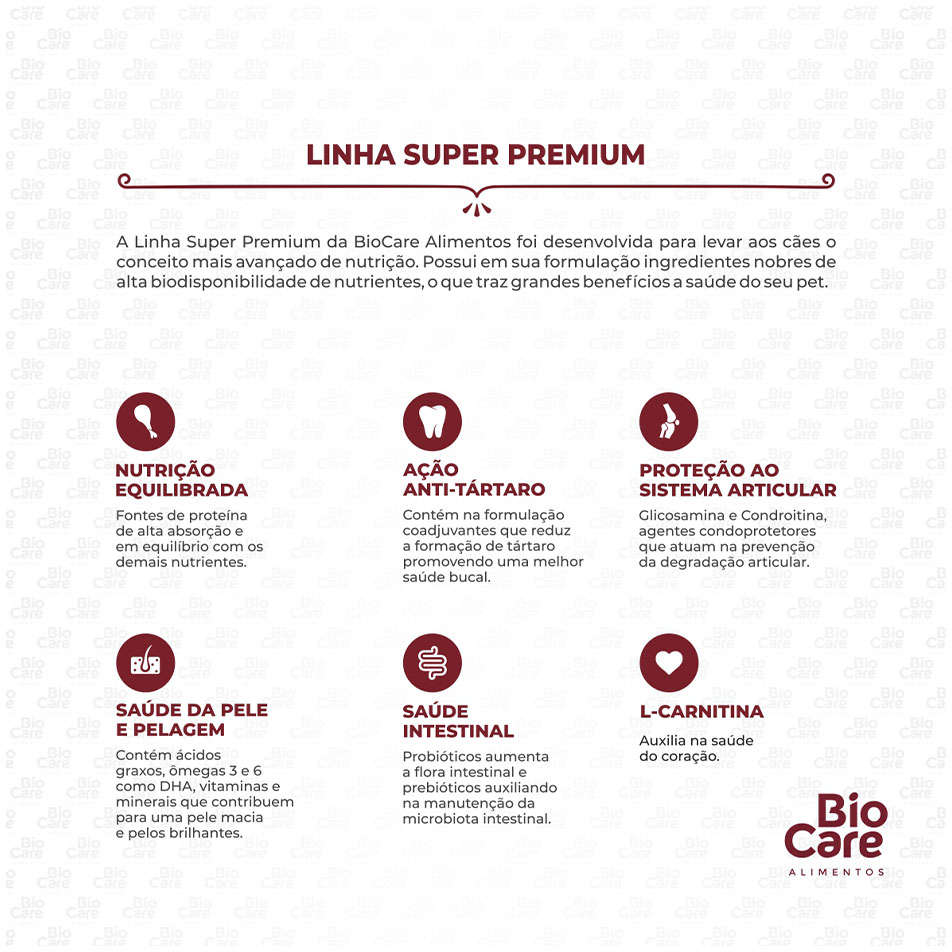 Ração Seca Biocare Super Premium Frango e Arroz para Cães Adultos de Porte Médio e Grande - 15Kg