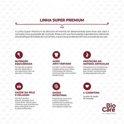 Ração Seca Biocare Super Premium Frango e Arroz para Cães Adultos de Porte Médio e Grande