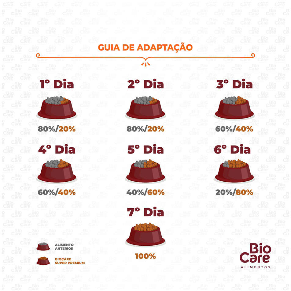 Ração Seca Biocare Super Premium Frango e Arroz para Cães Adultos de Mini e Pequeno Porte - 10,1Kg