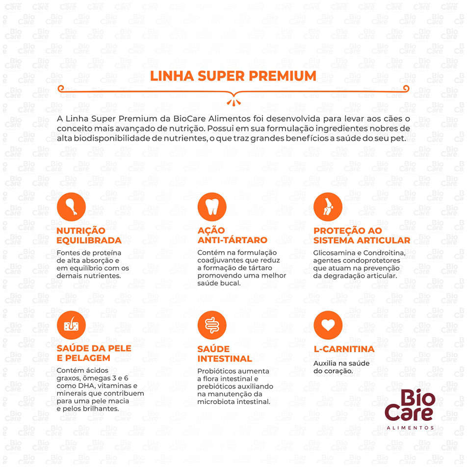 Ração Seca Biocare Super Premium Frango e Arroz para Cães Adultos de Mini e Pequeno Porte - 10,1Kg