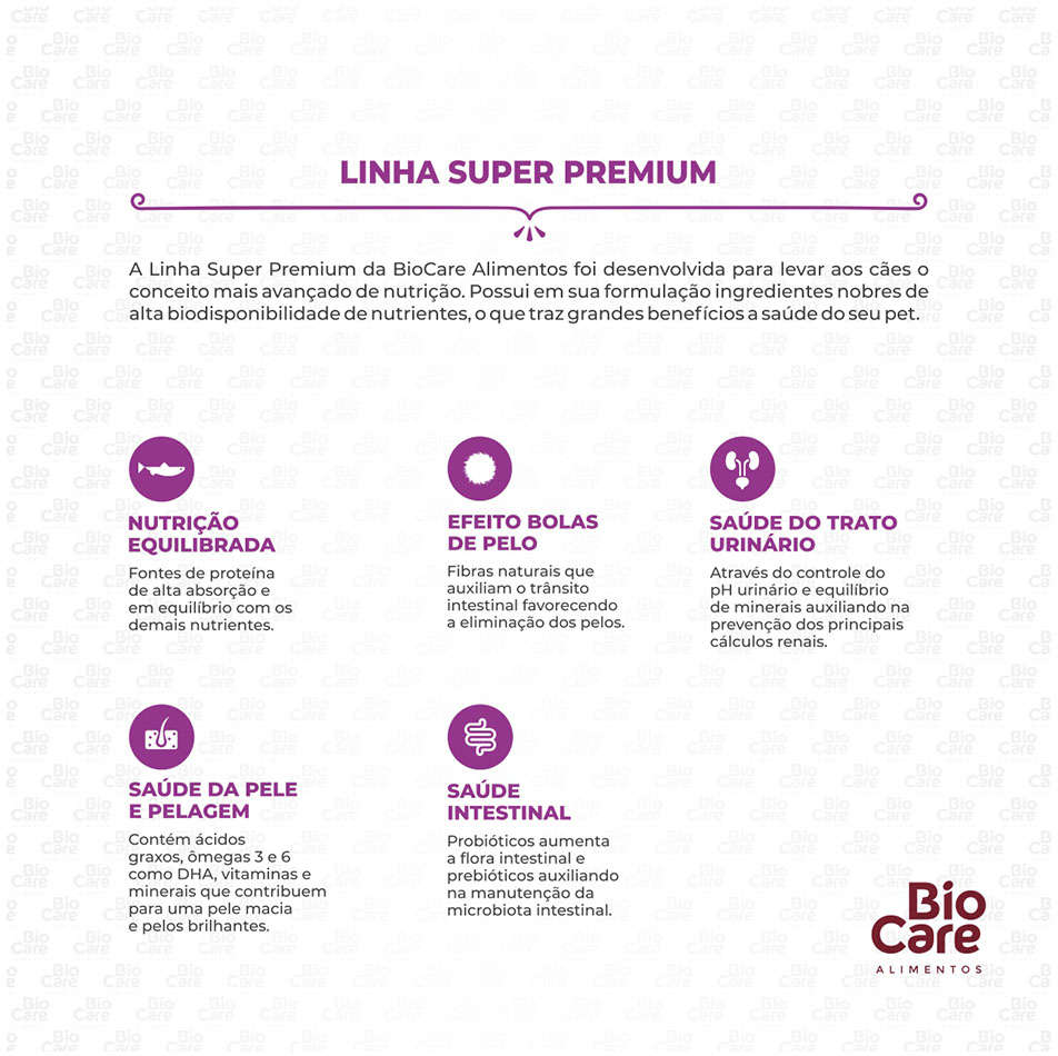 Ração Seca Biocare Super Premium Salmão para Gatos Adultos - 2,5Kg