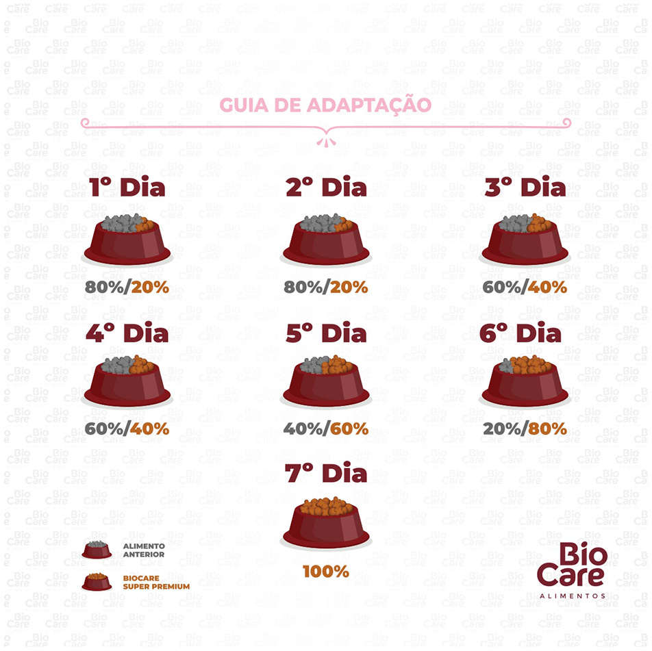 Ração Seca Biocare Super Premium Salmão para Gatos Filhotes - 10,1Kg