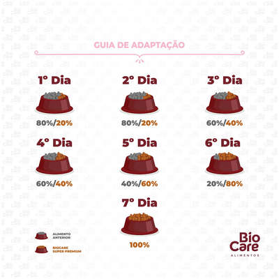 Ração Seca Biocare Super Premium Salmão para Gatos Filhotes”