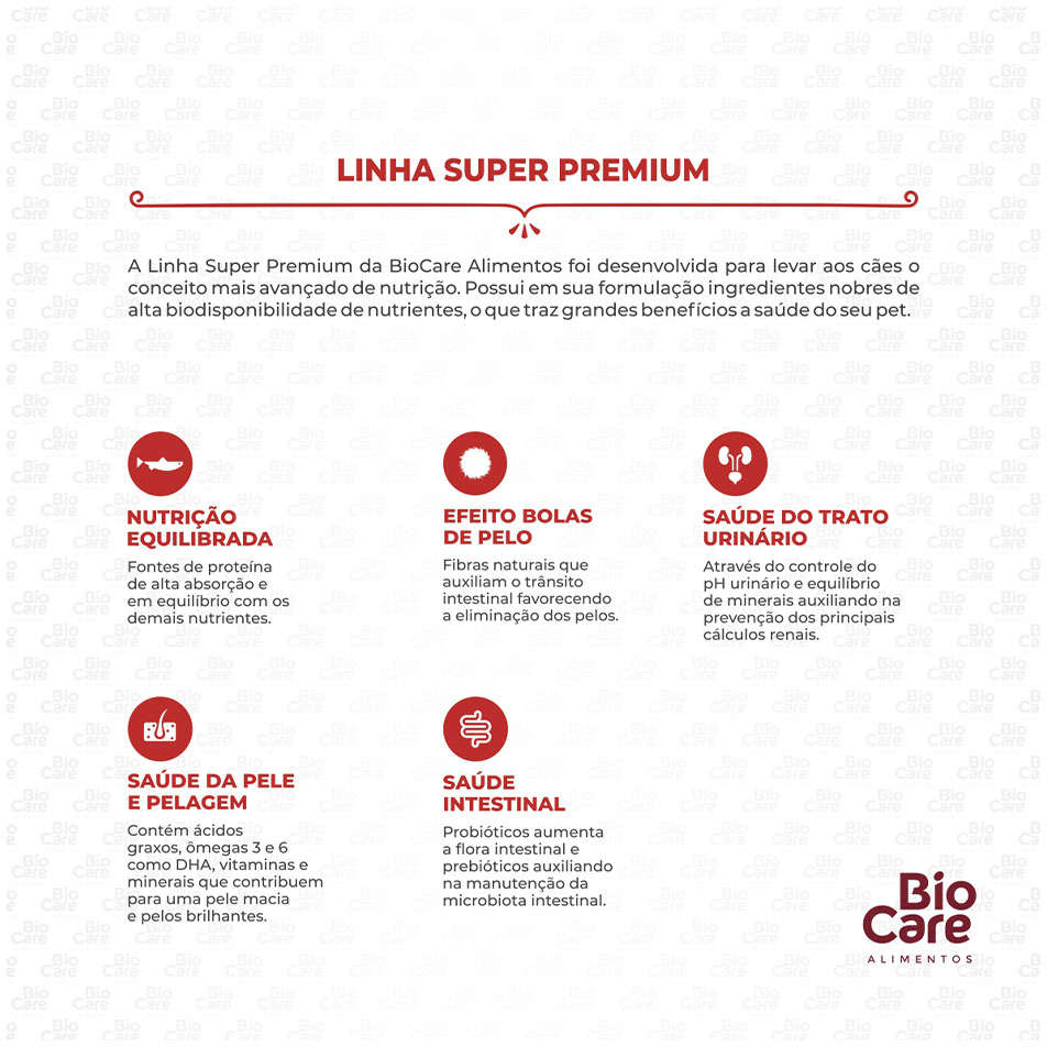 Ração Seca Biocare Super Premium Salmão para Gatos Castrados - 10,1Kg