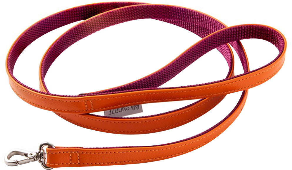 Guia Snooze Catdog Laranja com Roxo - Tam. PP