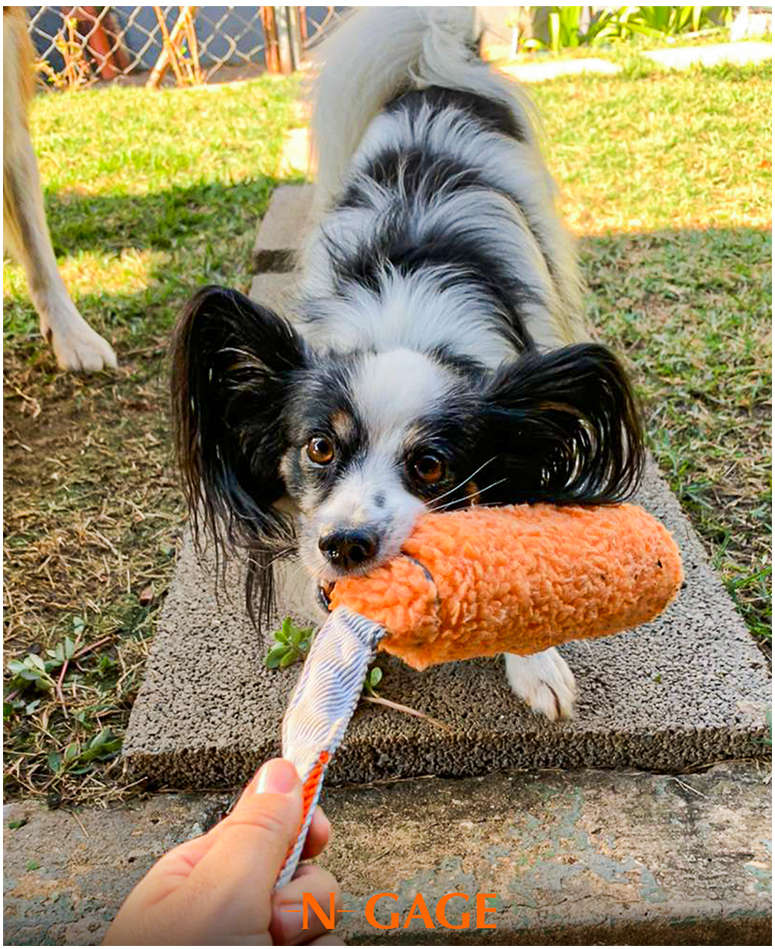 Brinquedo Mordedor Bumper Soft Laranja para Cães - Tam. Único