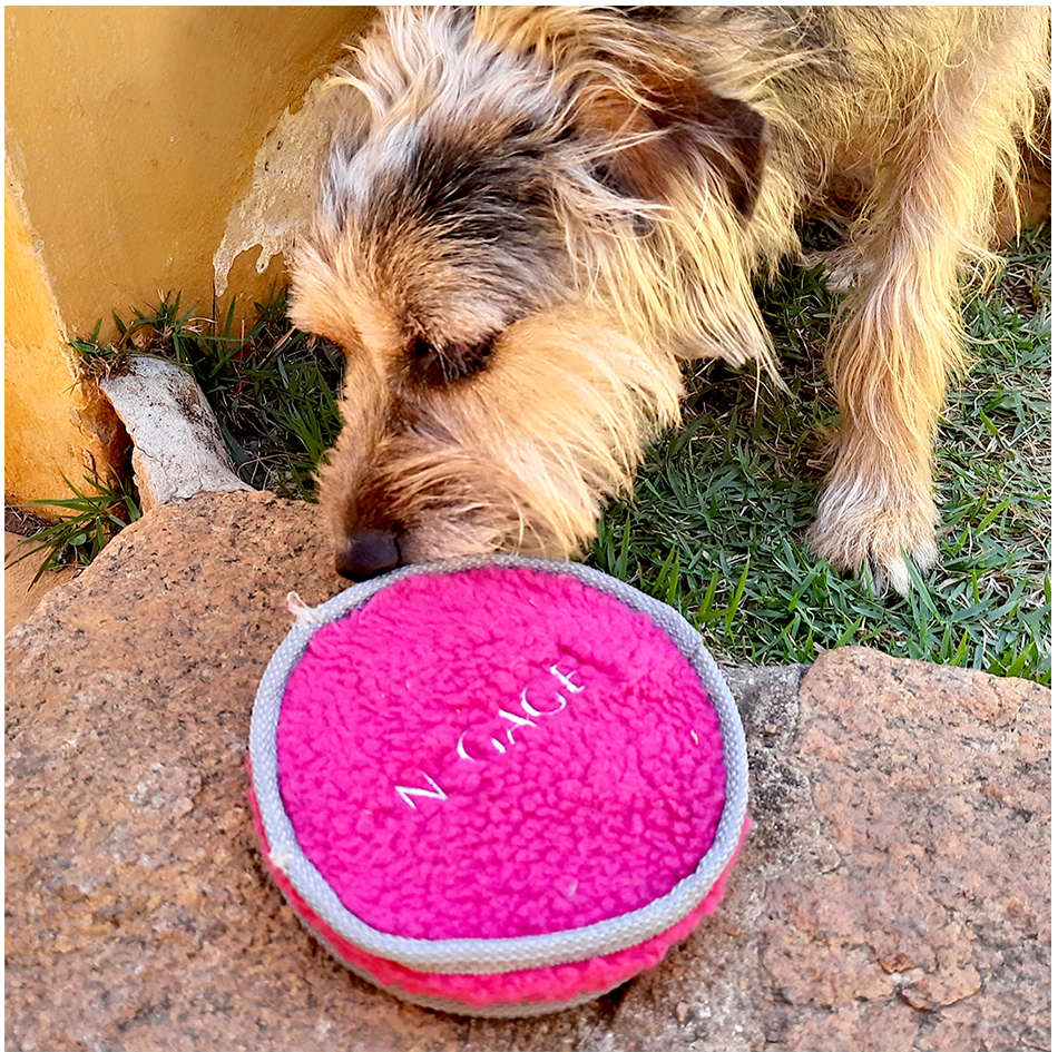 Brinquedo Mordedor Squeaker Disc Vermelho para Cães - Tam. Único